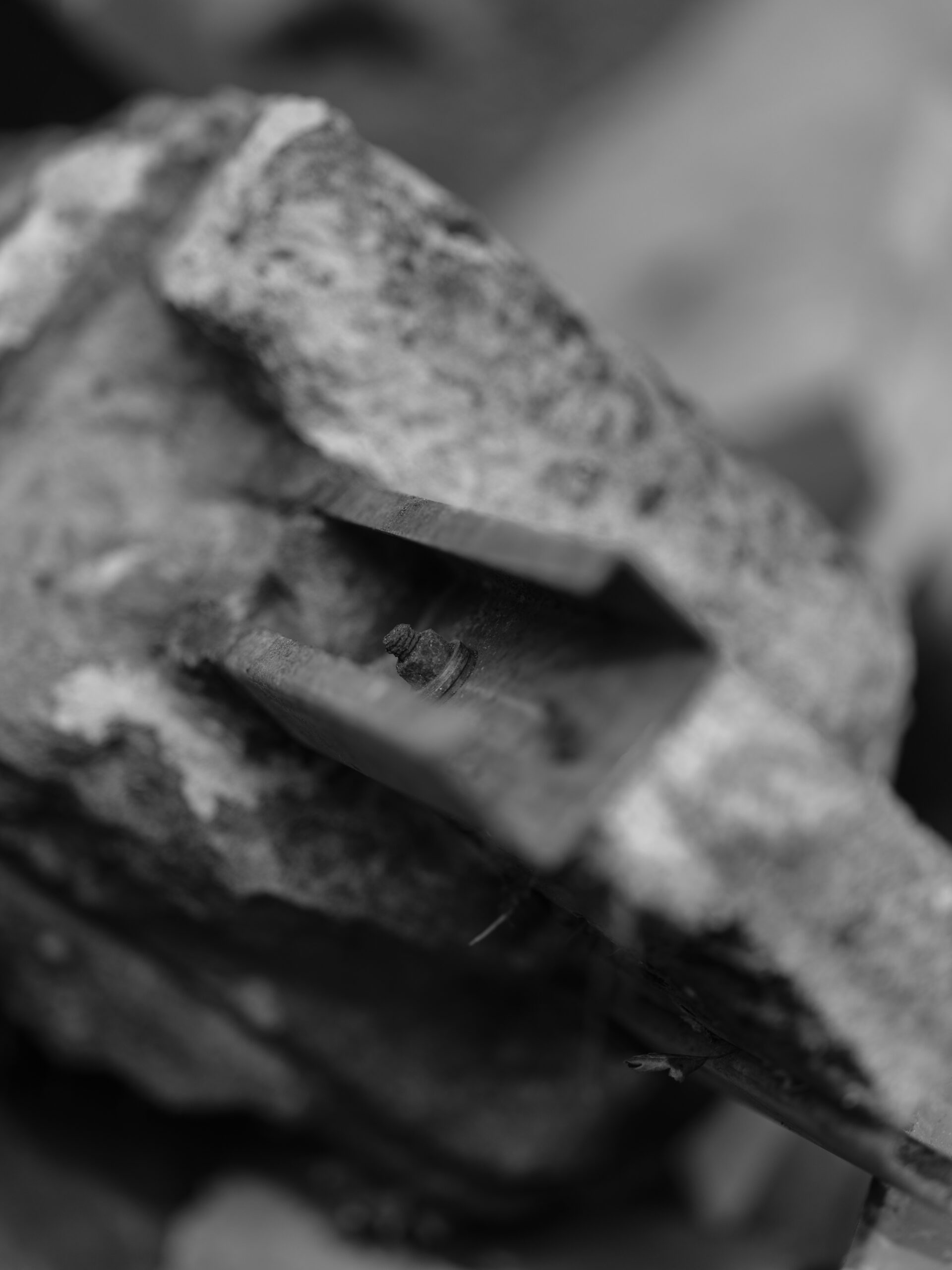 Hello World Featured Image